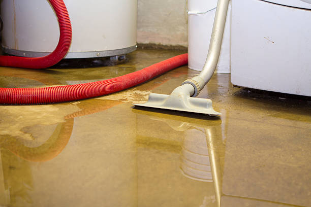 Best Carpet water damage restoration  in Deerwood, TX