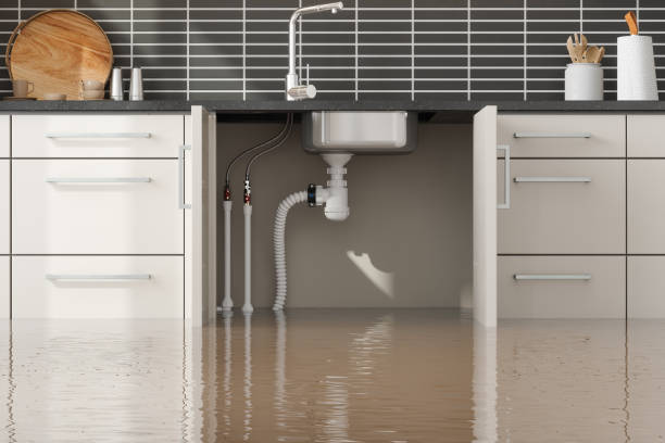 Best Local water damage restoration  in Deerwood, TX