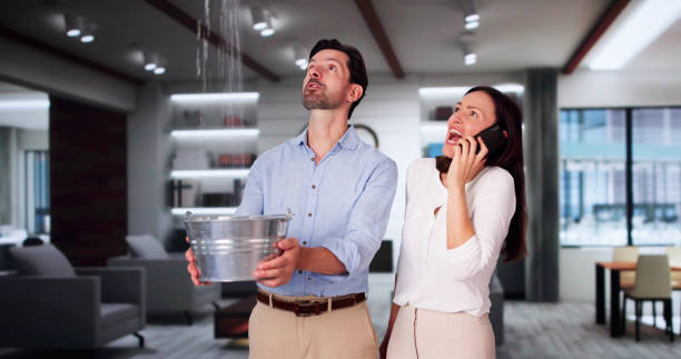 Best Mold removal after water damage  in Deerwood, TX