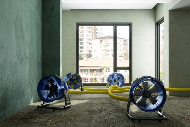 Best Water damage restoration near me  in Deerwood, TX